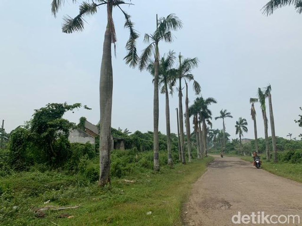 Sisi Lain Kota Mati Tommy Soeharto : Ladang Timun Suri-Spot Prewed