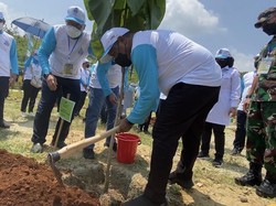 Di Blora, Wamen PUPR Ajak Masyarakat Menanam Pohon