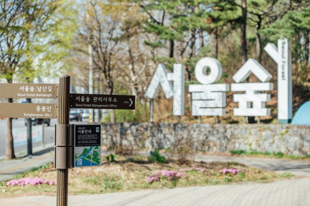 Seoul Forest atau Hutan Seoul yang terletak di Seoul/english.visitkorea.or.kr Seoul Forest merupakan taman kota premium dengan hamparan rerumputan yang sangat luas sehingga cocok untuk dijadikan tempat piknik.