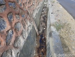 Bangkai Piton Raksasa Kendari Tak Kunjung Dibuang, Bau Menyengat Saat Malam