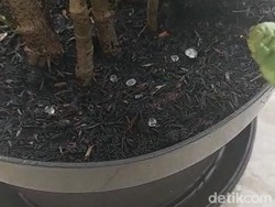 Hujan Es Terjadi di Surabaya, Warga: Bunyinya Klotak-klotak