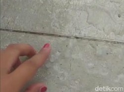 Hujan Es Guyur Surabaya Ukurannya Sebesar Kuku Kelingking Orang Dewasa