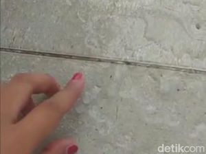 Hujan Es Guyur Surabaya, Belum Ada Laporan Kerusakan Hujan Es Guyur Surabaya, Belum Ada Laporan Kerusakan