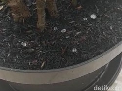 Ini 6 Lokasi Fenomena Hujan Es Sesaat di Surabaya