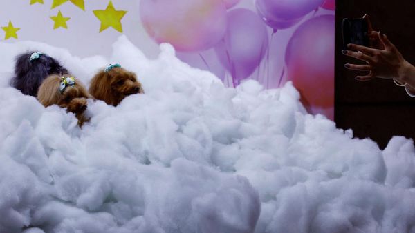 Interpets Tokyo, Hewan Saja Perlu Dimanjakan Loh...