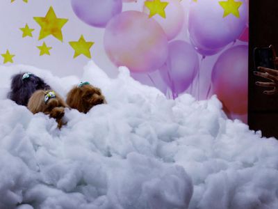 Interpets Tokyo, Hewan Saja Perlu Dimanjakan Loh...