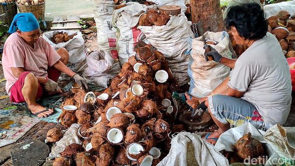 Minyak Goreng Mahal, Ini Andalan Emak-emak di Kulon Progo Buat Masak