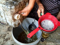 Potret Warga Lumajang Antre Minyak Goreng Curah Hingga Menutupi Jalan