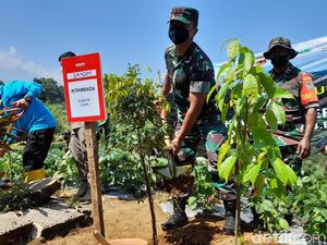 Lahan Kritis di Taman Nasional Gunung Gede Pangrango Capai 3.000 Hektare