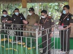 Rumah RJ Pertama di Nganjuk Ada di Desa Makam Jaksa Era Majapahit