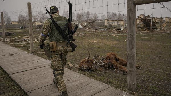 Potret Pilu Hewan di Kebun Binatang Ukraina yang Mati Gegara Perang