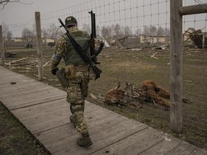 Potret Pilu Hewan di Kebun Binatang Ukraina yang Mati Gegara Perang