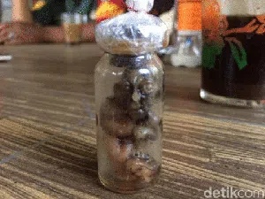 Antropolog Ungkap Kepercayaan Cara Manusia Berhubungan dengan Tuyul Antropolog Ungkap Kepercayaan Cara Manusia Berhubungan dengan Tuyul