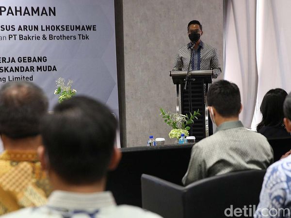 Upaya Meningkatkan Potensi KEK Arun Lhokseumawe