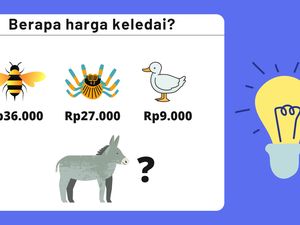 Lagi Mumet? Coba Main Tebak-tebakan Ini, Dijamin Otak Langsung Encer