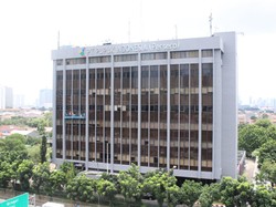 Jurus BUMN Dorong Regenerasi Petani demi Ketahanan Pangan RI