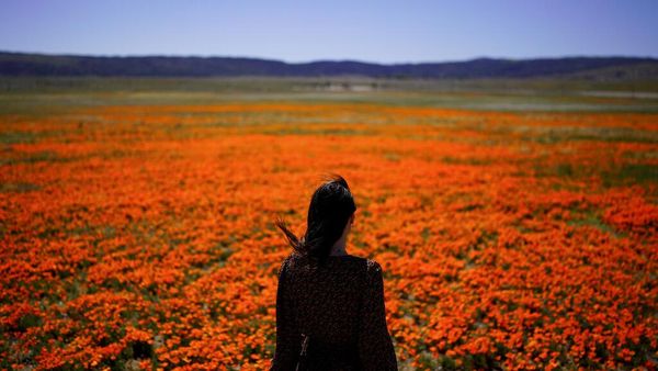 Karena Keindahan Itu Bukan Sekedar di Dunia Maya