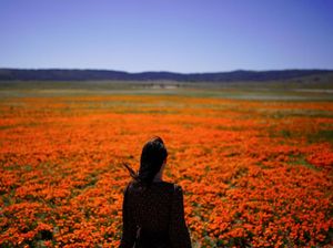 Karena Keindahan Itu Bukan Sekedar di Dunia Maya