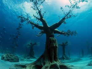 Ini MUSAN, Museum Hutan Bawah Laut  Pertama di Laut Mediterania