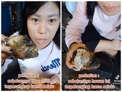 Ekstrem! TikToker Ini Makan Otak Monyet yang Ditangkap dari Kebun