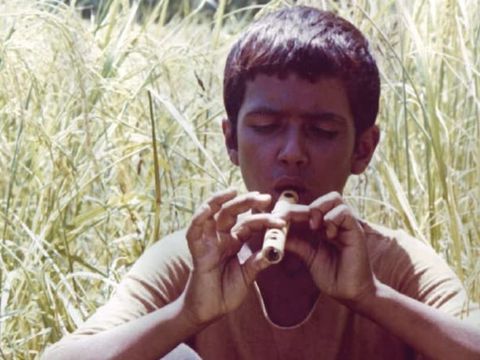 Bashu, the Little Stranger (1989) Bashu, the Little Stranger (1989)