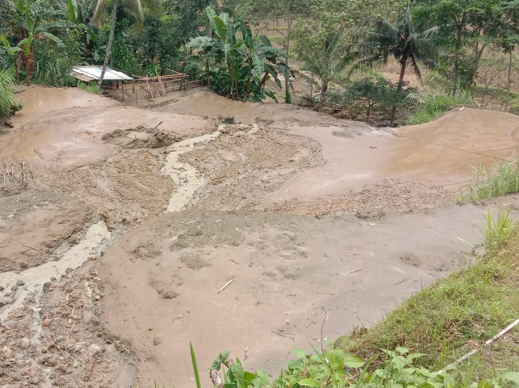 Longsor di Cilacap: 71 Rumah Terdampak-18 Hewan Ternak Mati Tertimbun