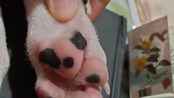 Kumpulan Foto yang Bikin Mata dan Otak Berimajinasi