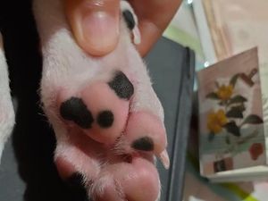 Kumpulan Foto yang Bikin Mata dan Otak Berimajinasi