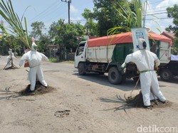 Warga Tanam Pisang-Boneka Hazmat di Jalan Rusak Akses ke Gunung Kelud