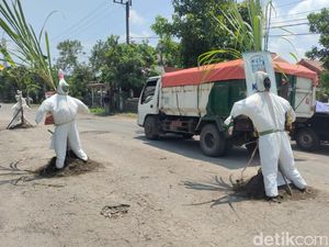 Warga Tanam Pisang-Boneka Hazmat di Jalan Rusak Akses ke Gunung Kelud Warga Tanam Pisang-Boneka Hazmat di Jalan Rusak Akses ke Gunung Kelud