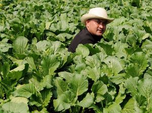 Ketua DPRD Bogor: Pertanian Itu Sektor Fundamental Perekonomian