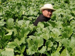 Ketua DPRD Bogor: Pertanian Itu Sektor Fundamental Perekonomian