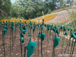 Bukan Belanda, Ini Kebun Kincir Angin Warna-warni di Karawang