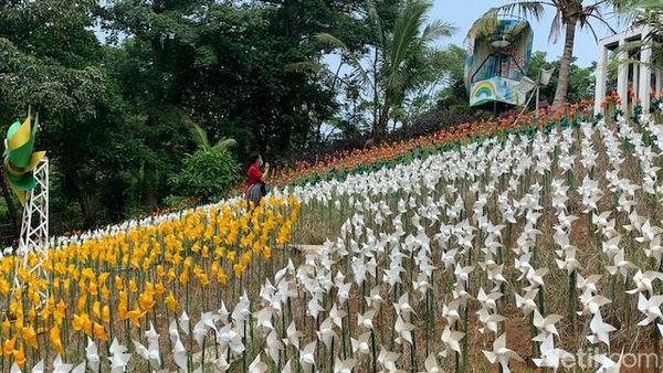 Instagramable Banget! Kebun Kincir Angin di Karawang