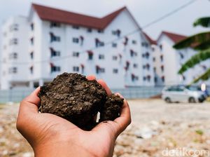 Menengok Kampung Akuarium yang Tanahnya Dibawa Anies ke IKN