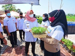 Banyuwangi Kembali Bikin Jagoan Tani, Anak Muda Akan Dimodali Ratusan Juta