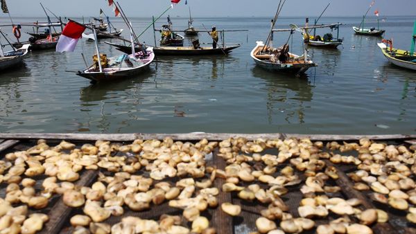 Awal Puasa, Nelayan Pantai Kenjeran Tidak Melaut