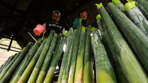 Melihat Pembuatan Lemang Bambu Khas Ramadan