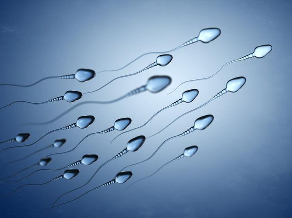 5 Mitos Makanan yang Dapat Perbanyak Jumlah Sperma, Ini Faktanya