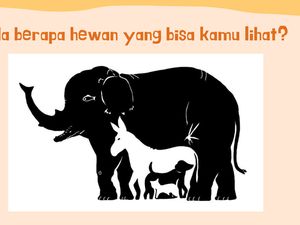 Tes Fokus Usai Buka Puasa, Yuk Cek Kemampuan Berpikir Kamu