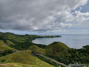 Mau Lihat Pemandangan Cantik Labuan Bajo? Naik Saja ke Bukit Sylvia