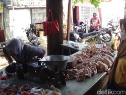 Harga Daging Ayam di Sumenep Tembus Rp 42 Ribu