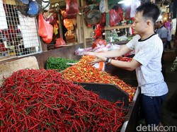 Menerka Biang Kerok Harga Cabai 3 Bulan Nggak Turun-turun