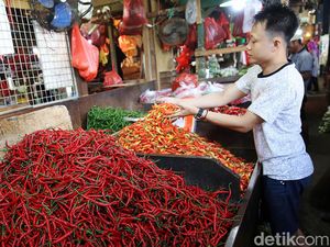 Menerka Biang Kerok Harga Cabai 3 Bulan Nggak Turun-turun Menerka Biang Kerok Harga Cabai 3 Bulan Nggak Turun-turun