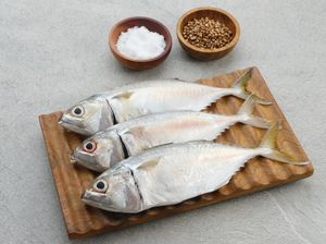 Jangan Salah, Kandungan Gizi Ikan Kembung Ternyata Setara Ikan Salmon! Jangan Salah, Kandungan Gizi Ikan Kembung Ternyata Setara Ikan Salmon!