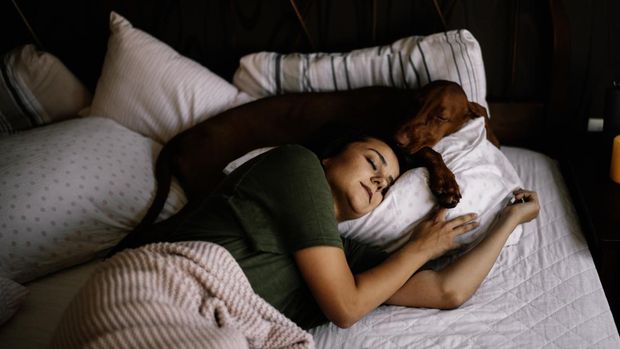 ilustrasi tidur sama hewan