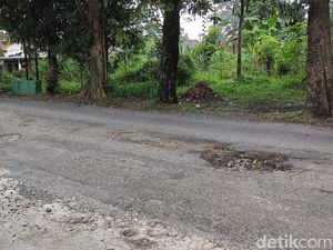 Penebangan 118 Pohon, Jalan Gito Gati Jogja Ditutup Tiga Pekan