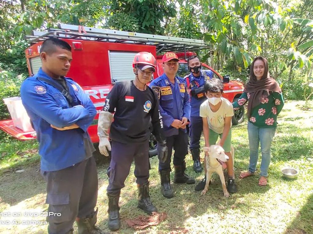 Momen Damkar Bogor Evakuasi Anjing Tercebur di Sumur 5 Meter