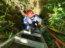 Anjing Milik Warga Bogor Tercebur di Sumur 5 Meter, Damkar Evakuasi