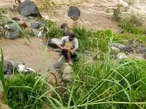 Dramatis Penyelamatan Pria Terjebak Banjir di Sungai Serayu Wonosobo